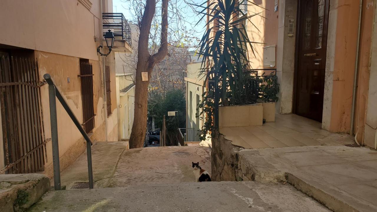 Sakura Hut Opposite The Panathenaic Stadium Zewnętrze zdjęcie